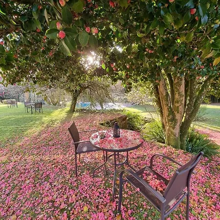 Szálloda Casa A Pedreira Rias Baixas 3*