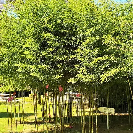 Hotel Casa A Pedreira Rias Baixas 3*