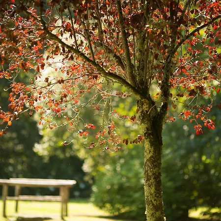 Casa A Pedreira Rias Baixas 3*