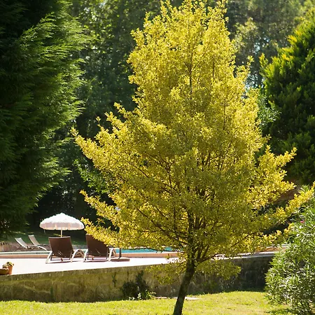 Casa A Pedreira Rias Baixas Hotel