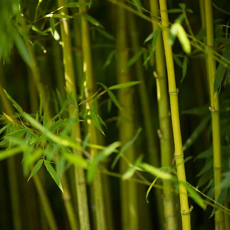 Szálloda Casa A Pedreira Rias Baixas Cuntis