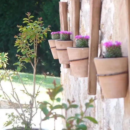 Casa A Pedreira Rias Baixas Hotel 3*