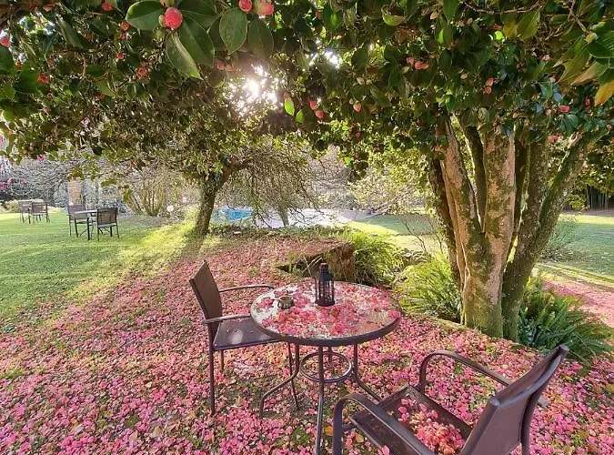 Otel Casa A Pedreira Rias Baixas 3*