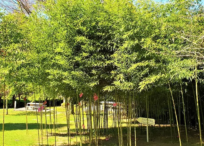 Otel Casa A Pedreira Rias Baixas 3*