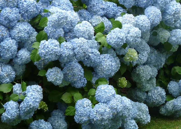 Casa A Pedreira Rias Baixas Cuntis